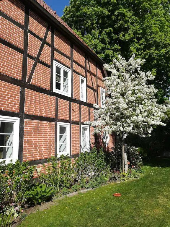 Apartment In Ruhiger Wohnlage Sie Sind In 3 Minuten Am Trebbower See Oder In 30 Minuten An Der Ostsee Klein Trebbow المظهر الخارجي الصورة
